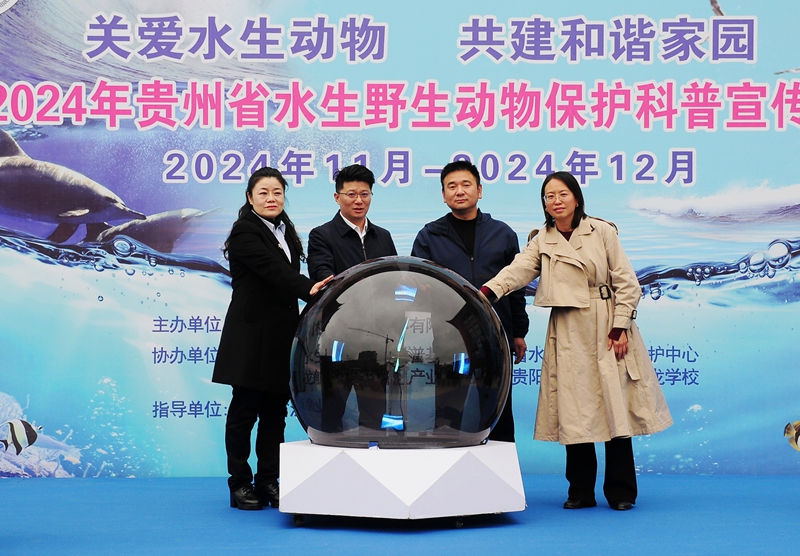 212409yitle52552xuqjcx