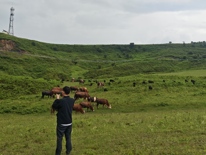 202509181821071603729438