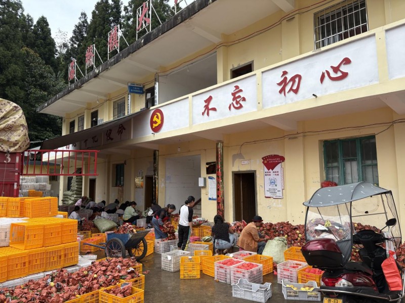 2025091818305847710318