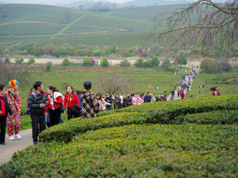 202603220043501695517355 202603220043501695517355