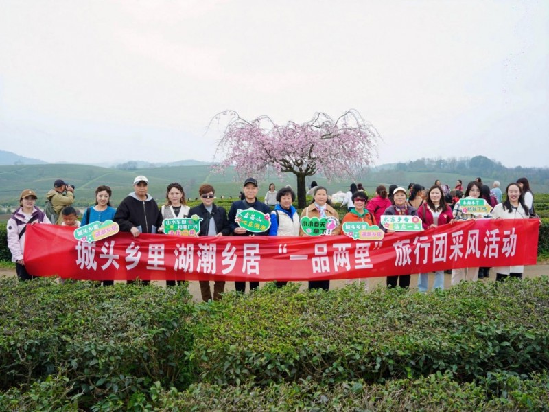 20260322004350434086952 20260322004350434086952